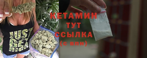 прущие грибы Бронницы