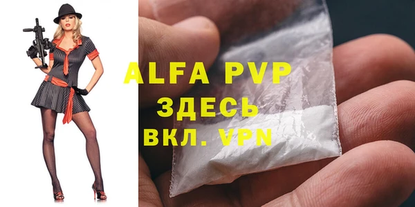 прущие грибы Бронницы