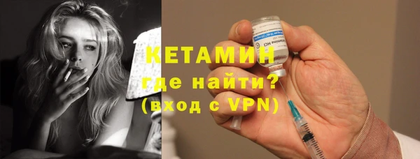 прущие грибы Бронницы