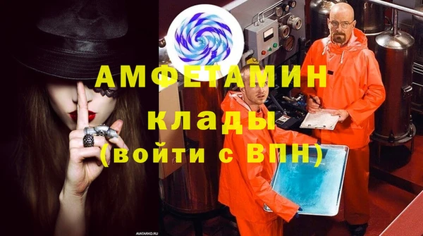 прущие грибы Бронницы