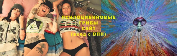 прущие грибы Бронницы