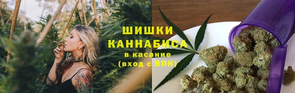 прущие грибы Бронницы