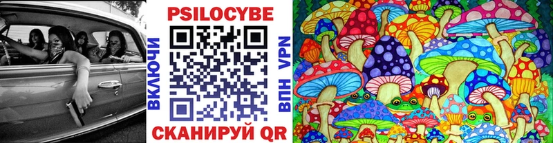 Псилоцибиновые грибы Psilocybine cubensis  ссылка на мегу ссылка  Печора 